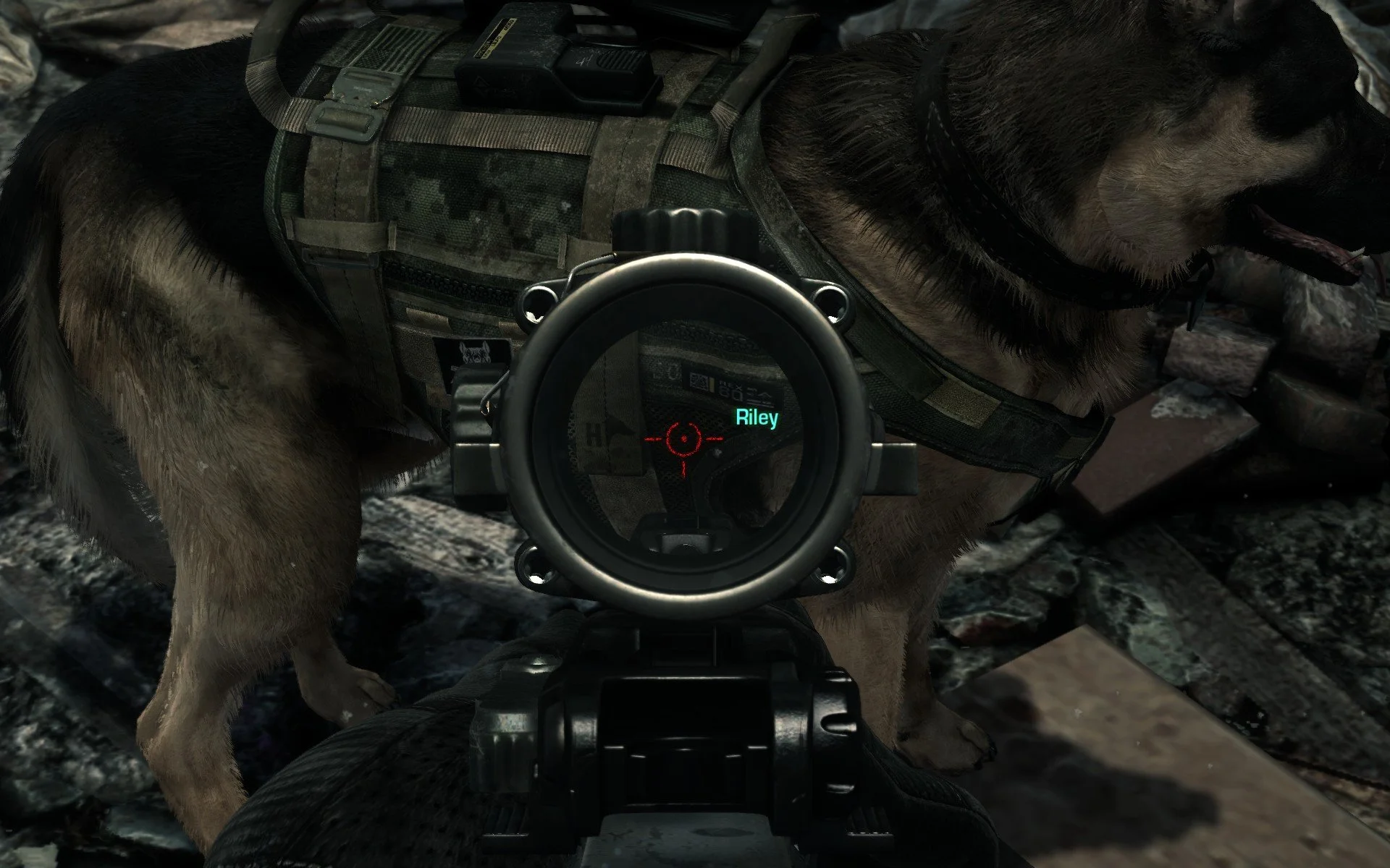 В Call of Duty: Ghosts для PC появилась шерсть нового поколения
