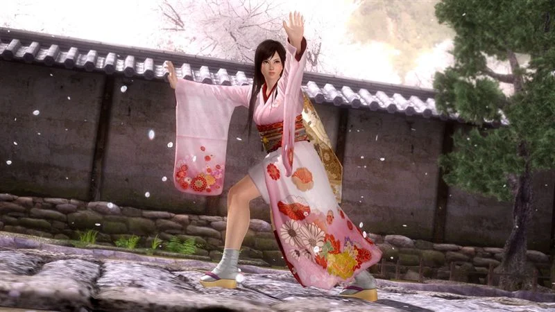 Dead or Alive 5  - фото 1