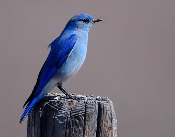 Ещё она неделя подходит к концу и я снова представляю вашему вниманию десять новостей игровой индустрии, которые вы могли пропустить.