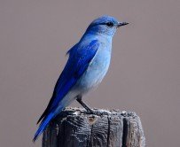 Ещё она неделя подходит к концу и я снова представляю вашему вниманию десять новостей игровой индустрии, которые вы могли пропустить.