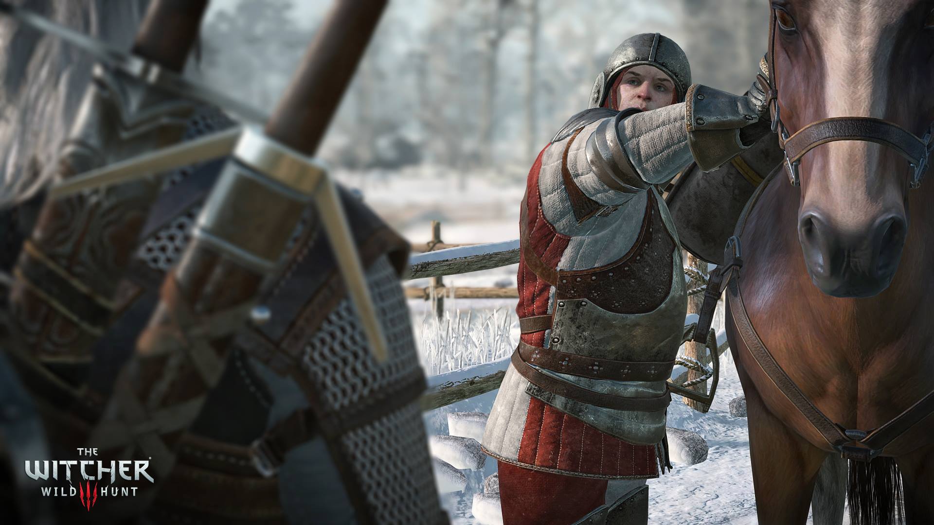 The Witcher 3: Wild Hunt на «Игромир 2014» Впервые игровой процесс будет представлен полностью на русском яз ... - Изображение 5 The Witcher 3: Wild Hunt на «Игромир 2014» Впервые игровой процесс будет представлен полностью на русском яз ... - Изображение 5