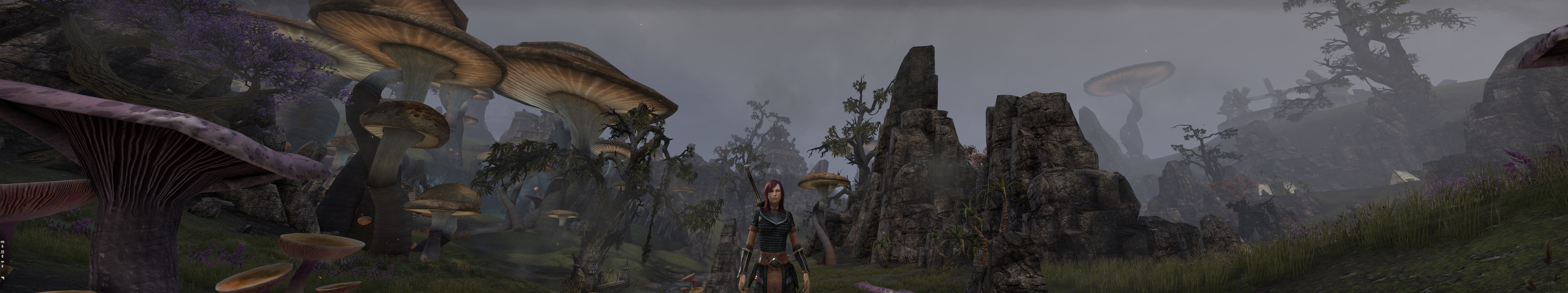 Пачка скриншотов из The Elder Scrolls Online на максимальных настройках в разрешении 7680x1440 - Изображение 12 Пачка скриншотов из The Elder Scrolls Online на максимальных настройках в разрешении 7680x1440 - Изображение 12