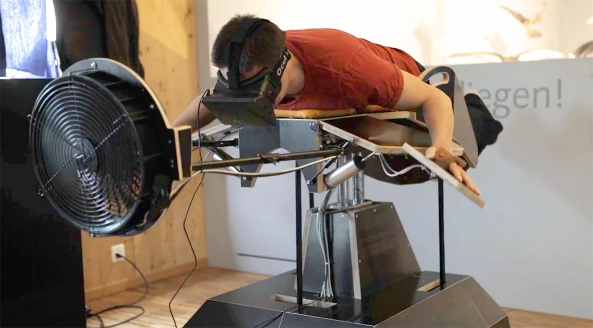 В Швейцарии сконструировали симулятор птицы для Oculus Rift
