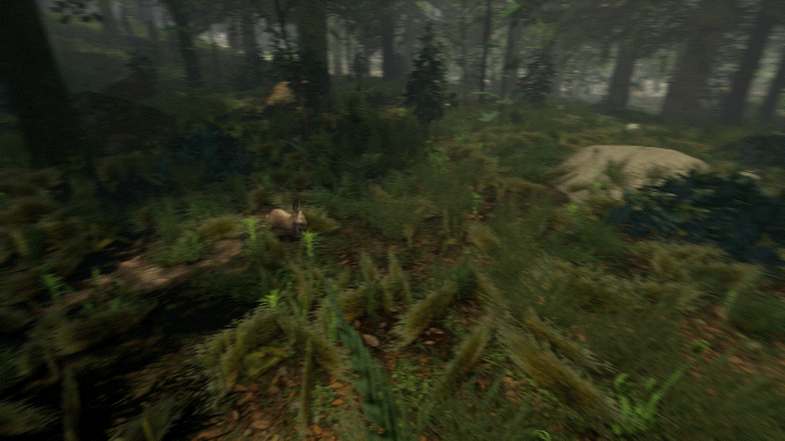 The Forest - Изображение 6 The Forest - Изображение 6