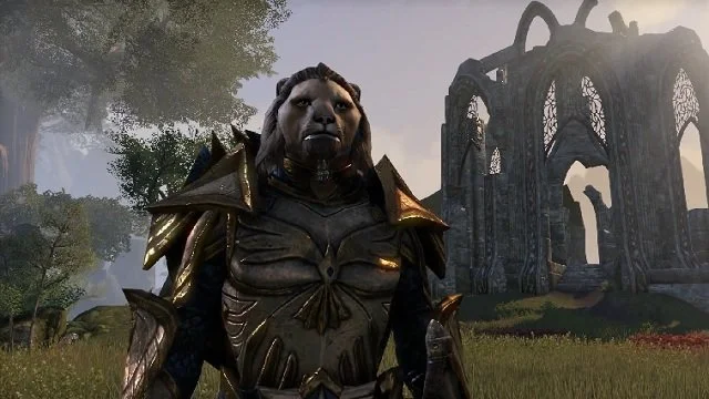 Первое обновление для The Elder Scrolls Online выпустят на неделе