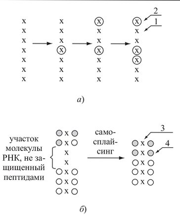 Жизнь - Изображение 3 Жизнь - Изображение 3