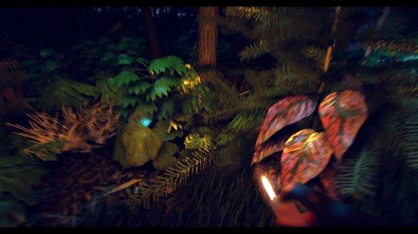 Что представляет из себя The Forest? - Изображение 4 Что представляет из себя The Forest? - Изображение 4