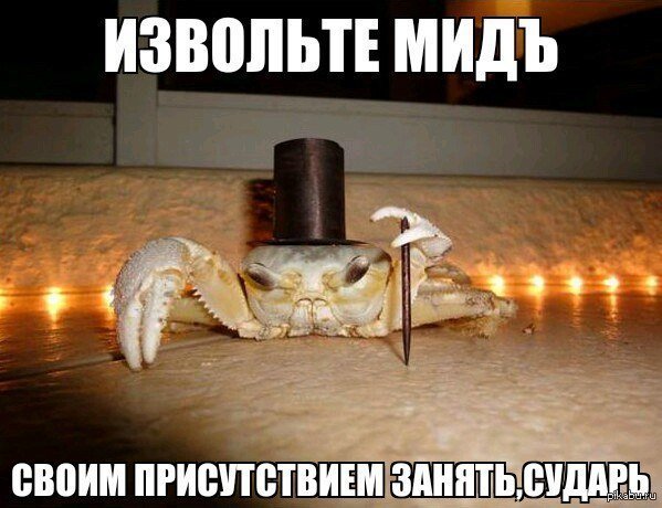5 рачьих законов - Изображение 1 5 рачьих законов - Изображение 1