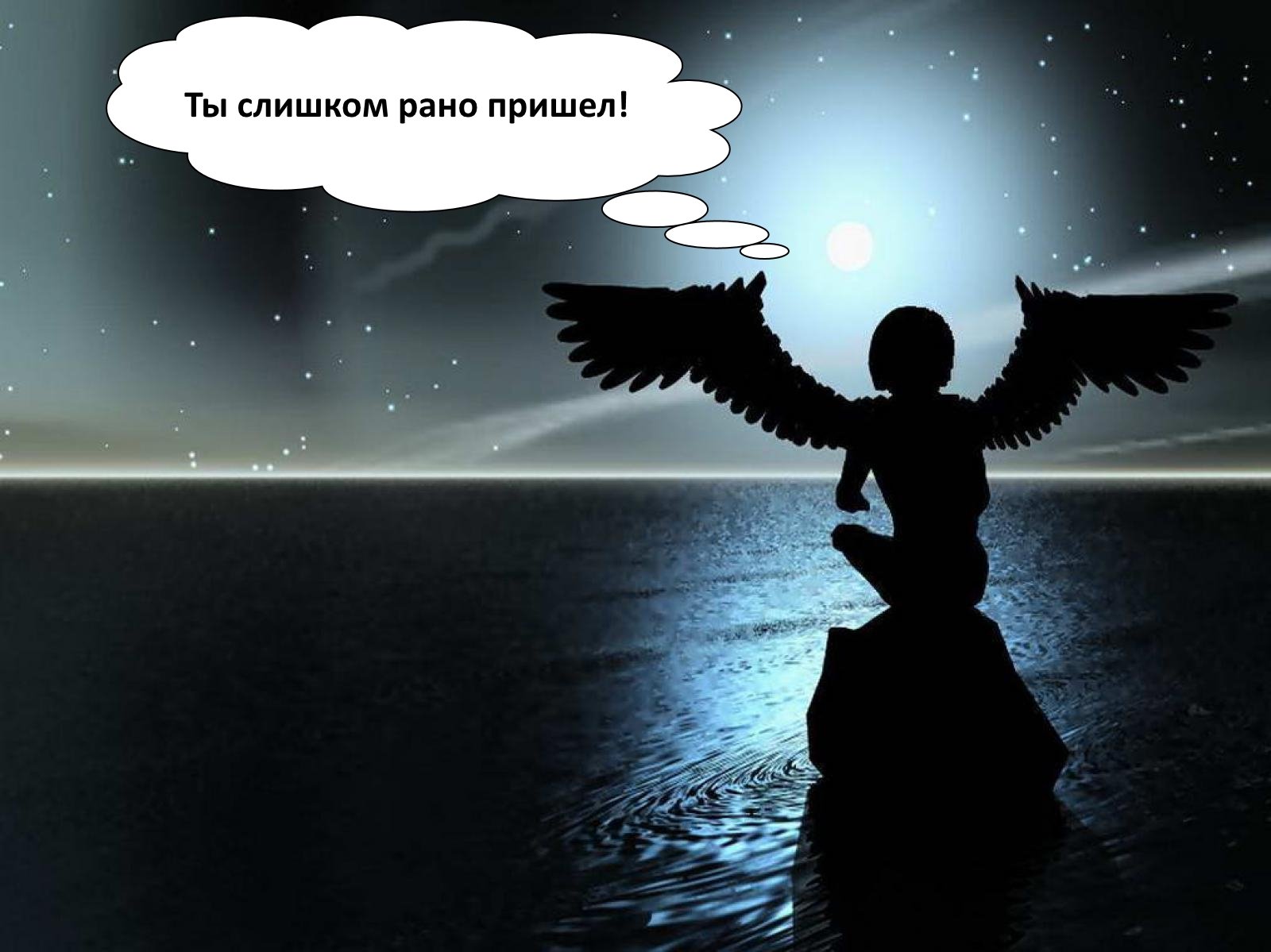 ЗОАР . - Изображение 6 ЗОАР . - Изображение 6