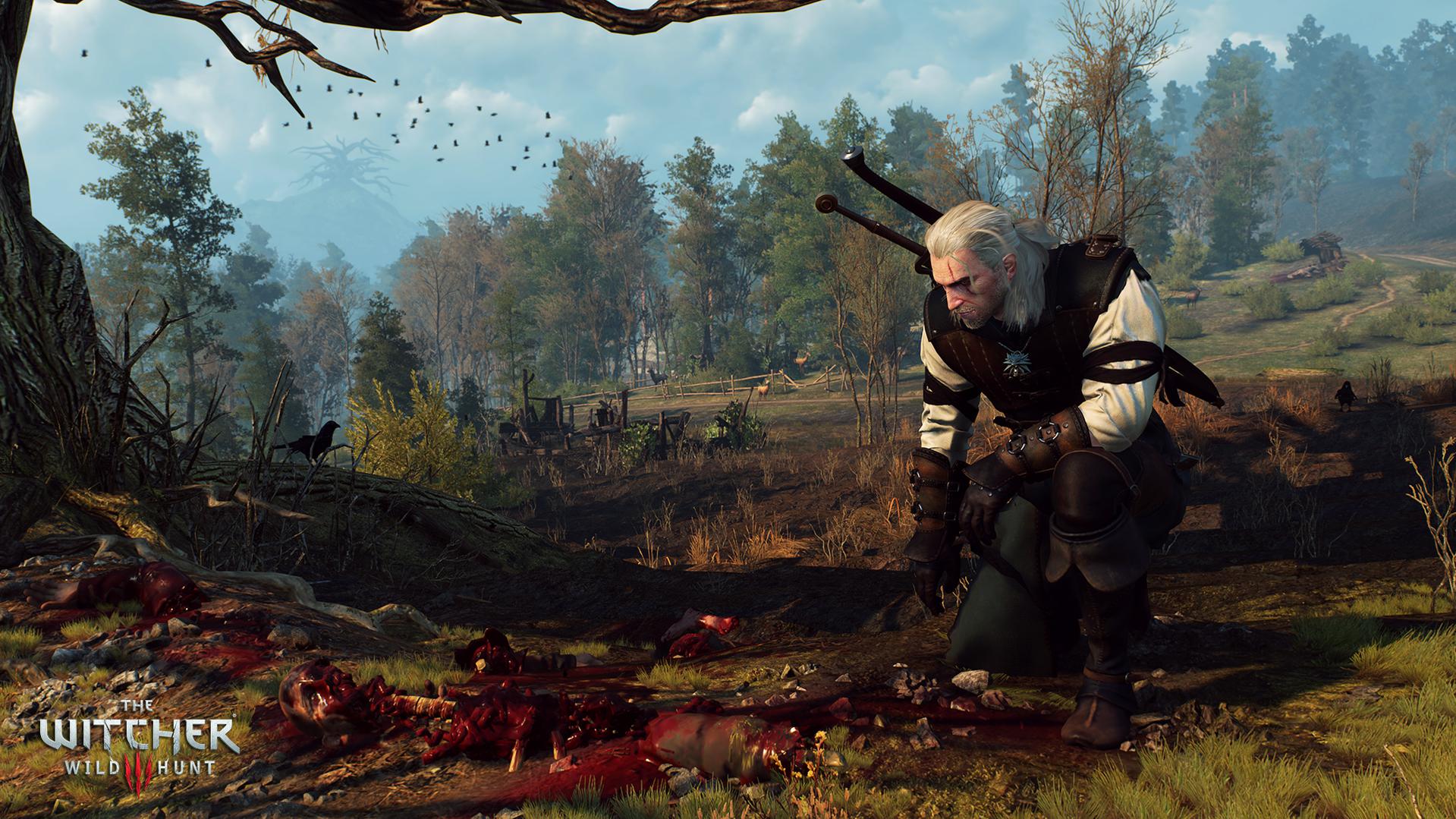 The Witcher 3: Wild Hunt. Презентация CD PROJEKT RED. CD PROJEKT RED совместно с GOG.com проведут онлайн трансля .... - Изображение 5 The Witcher 3: Wild Hunt. Презентация CD PROJEKT RED. CD PROJEKT RED совместно с GOG.com проведут онлайн трансля .... - Изображение 5