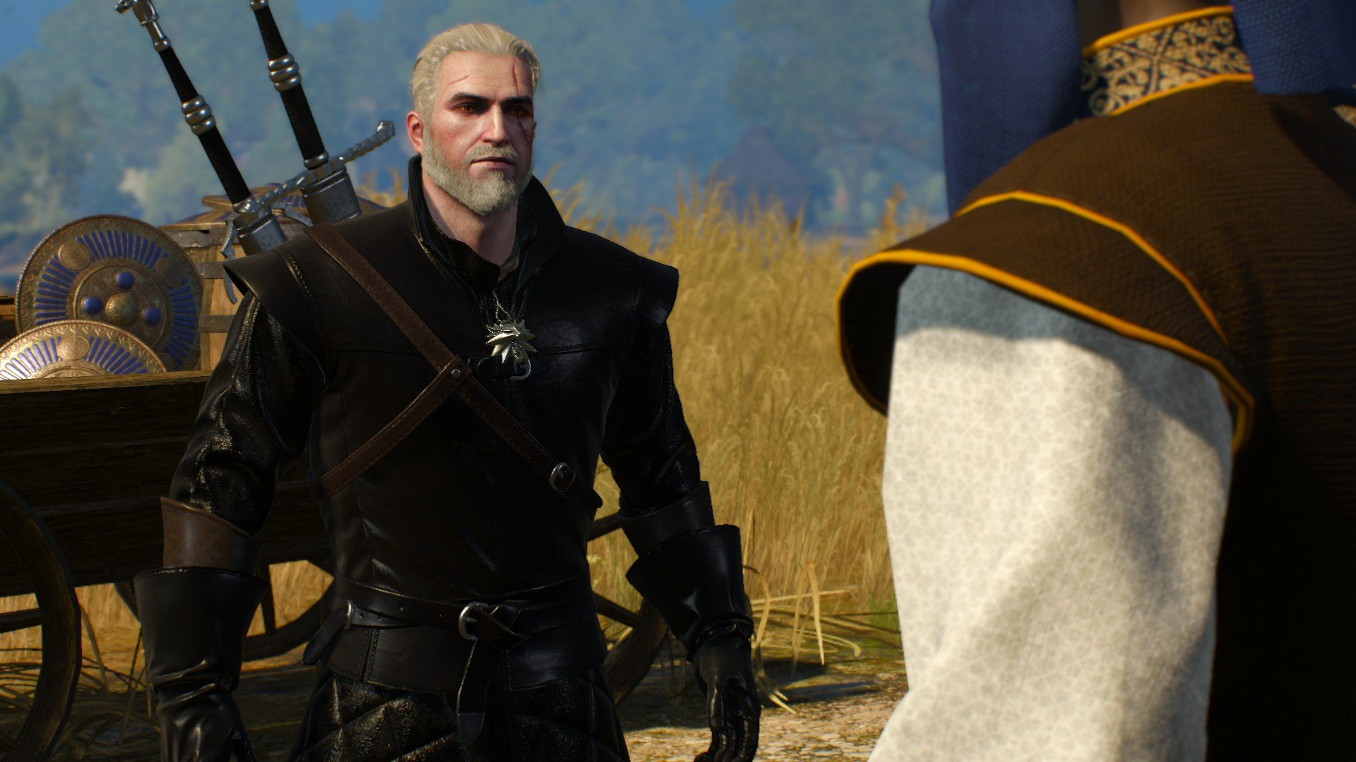 The Witcher 3: Wild Hunt. Сборщик налогов. В игре Ведьмак 3: Дикая Охота есть некоторое количество эксплойтов (быс .... - Изображение 1 The Witcher 3: Wild Hunt. Сборщик налогов. В игре Ведьмак 3: Дикая Охота есть некоторое количество эксплойтов (быс .... - Изображение 1