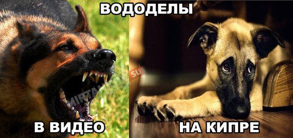 О чем на самом деле говорили блоггеры с Виктором Кислым - Изображение 2 О чем на самом деле говорили блоггеры с Виктором Кислым - Изображение 2