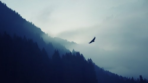 После обеденные мысли о вечном. - Изображение 3 После обеденные мысли о вечном. - Изображение 3