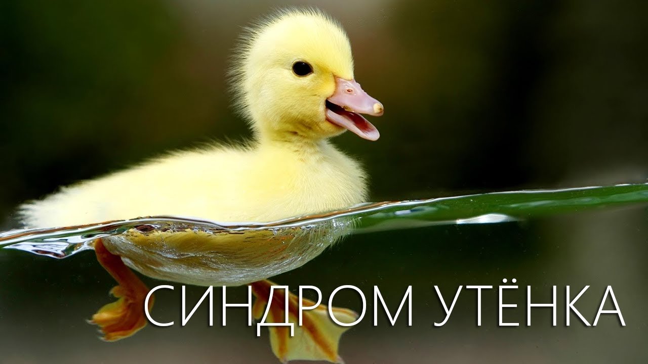 Терминальный "синдром утенка". Раньше было лучше.. - Изображение 1 Терминальный "синдром утенка". Раньше было лучше.. - Изображение 1
