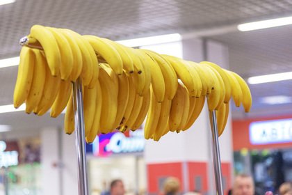 Стоимость бананов в российских магазинах достигла пятнадцатилетнего максимума. - Изображение 1 Стоимость бананов в российских магазинах достигла пятнадцатилетнего максимума. - Изображение 1