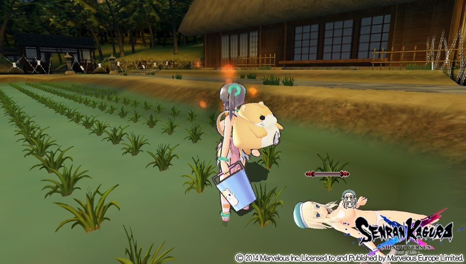 Дегустация Senran Kagura: Shinovi Versus - суровые будни сильных и независимых женщин - Изображение 4 Дегустация Senran Kagura: Shinovi Versus - суровые будни сильных и независимых женщин - Изображение 4