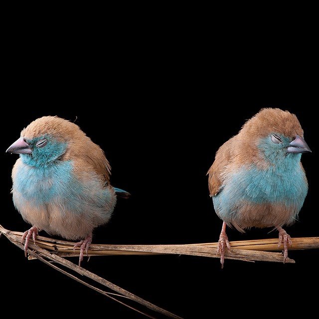 Элита инстаграма. 10 отборных фоточек, которые должны увидеть все. - Изображение 10 Элита инстаграма. 10 отборных фоточек, которые должны увидеть все. - Изображение 10