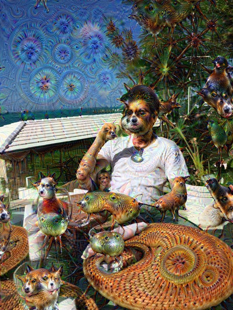 Про Deep Dream, нейросети, ИИ и им сочувствующих. - Изображение 2 Про Deep Dream, нейросети, ИИ и им сочувствующих. - Изображение 2