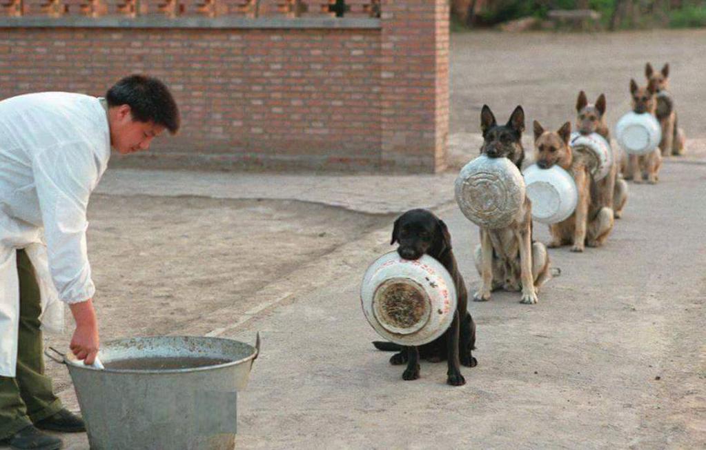 In the Name of God we go to heaven.... - Изображение 5 In the Name of God we go to heaven.... - Изображение 5