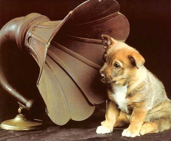 Что слушаем?. - Изображение 1 Что слушаем?. - Изображение 1