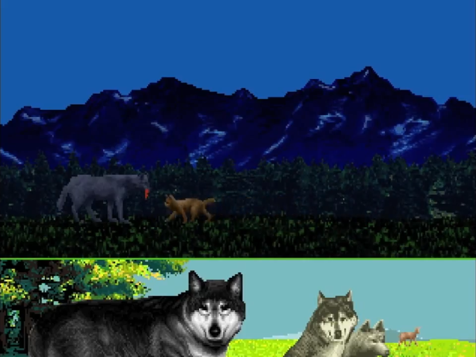 А вы играли в… Wolf?. - Изображение 5 А вы играли в… Wolf?. - Изображение 5