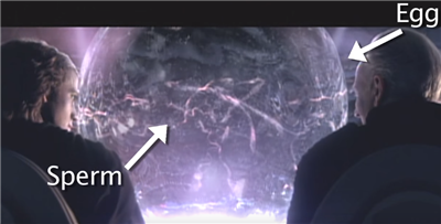 Отвратный Эпизод III - Revenge of the Sith - Изображение 8 Отвратный Эпизод III - Revenge of the Sith - Изображение 8