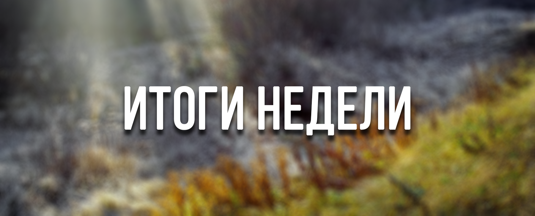 Что поделать— 21 ноября - Изображение 1 Что поделать— 21 ноября - Изображение 1
