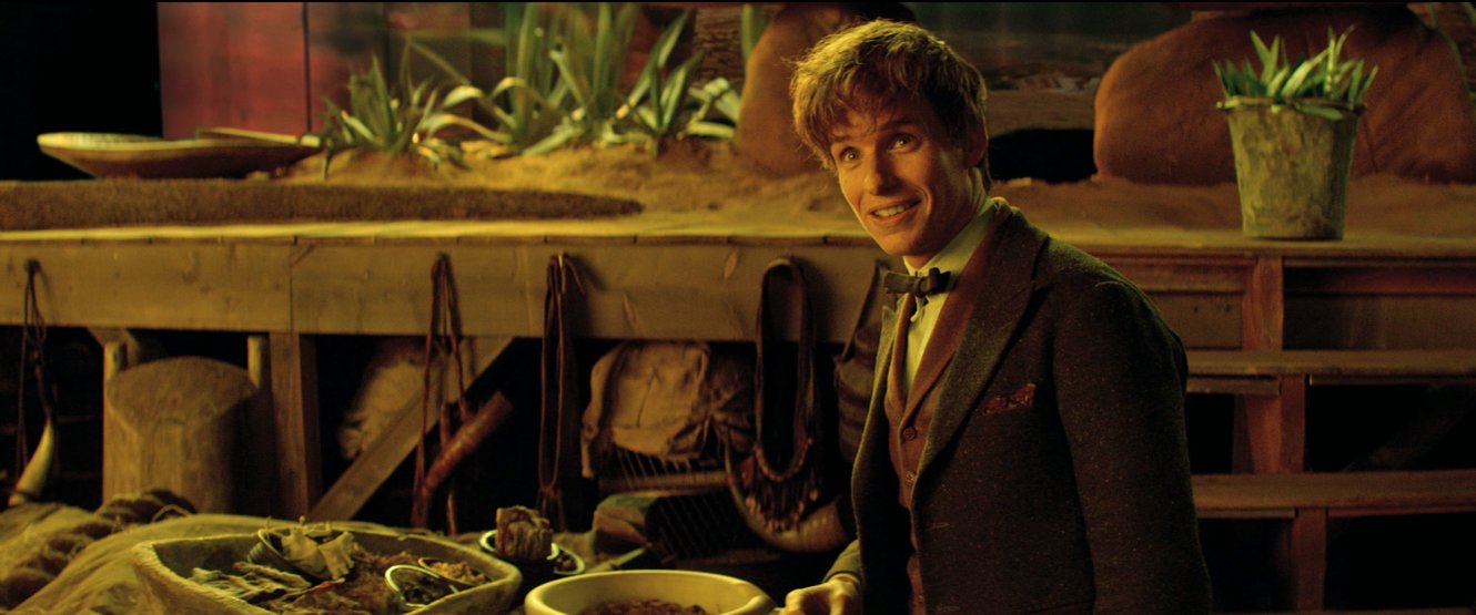 Нуарная магия с пушистым зверинцем. Fantastic Beasts and Where to Find Them - Изображение 4 Нуарная магия с пушистым зверинцем. Fantastic Beasts and Where to Find Them - Изображение 4