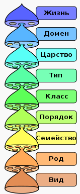 Фентезийный расизм - Изображение 6 Фентезийный расизм - Изображение 6