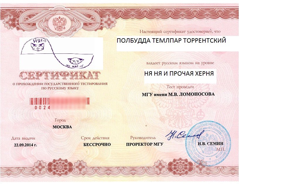 10 причин почему нужно пожалеть полбудды Темплар Торрентский - Изображение 2 10 причин почему нужно пожалеть полбудды Темплар Торрентский - Изображение 2