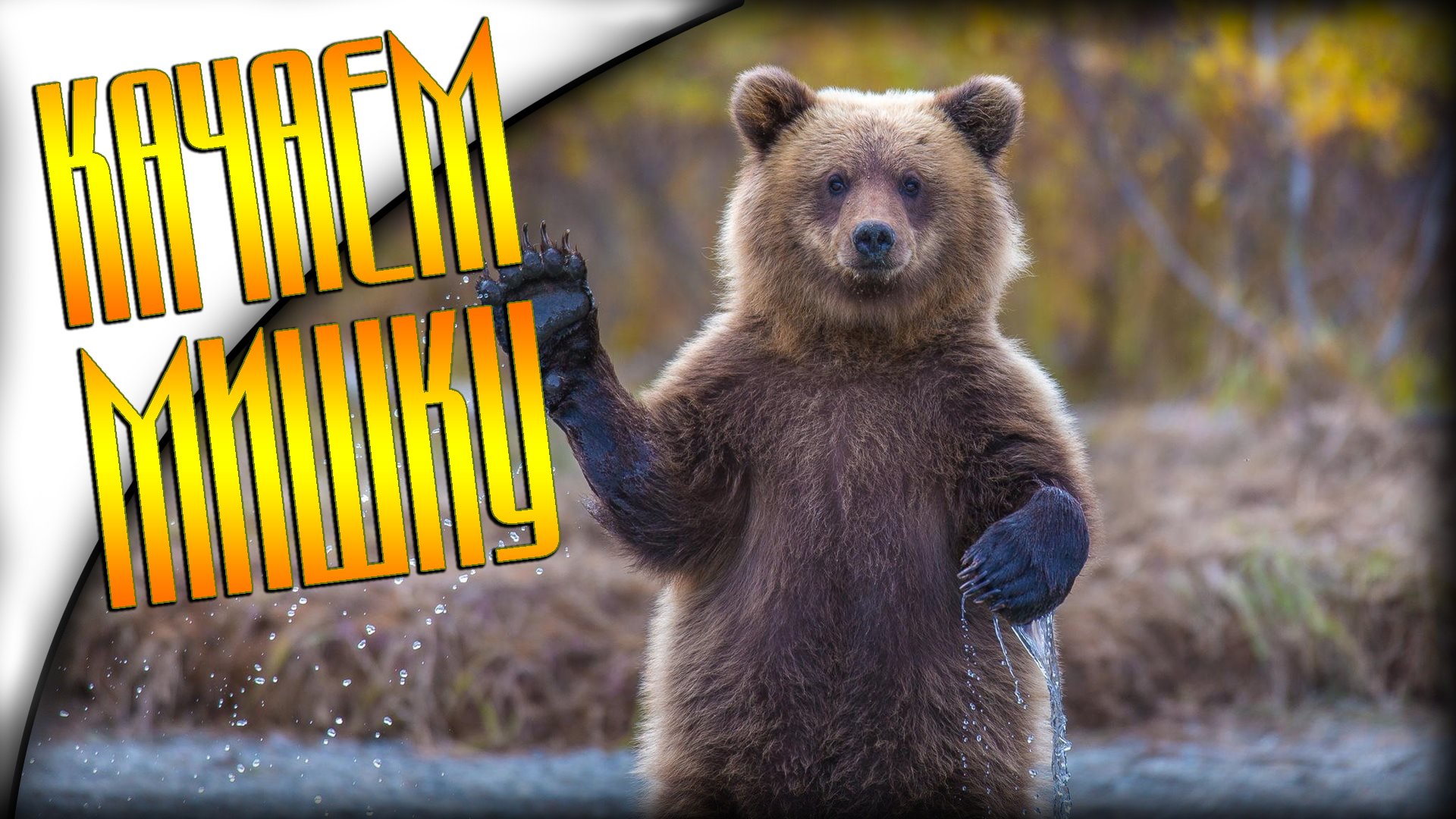 Качаем Мишку в Bear Simulator - Изображение 1 Качаем Мишку в Bear Simulator - Изображение 1