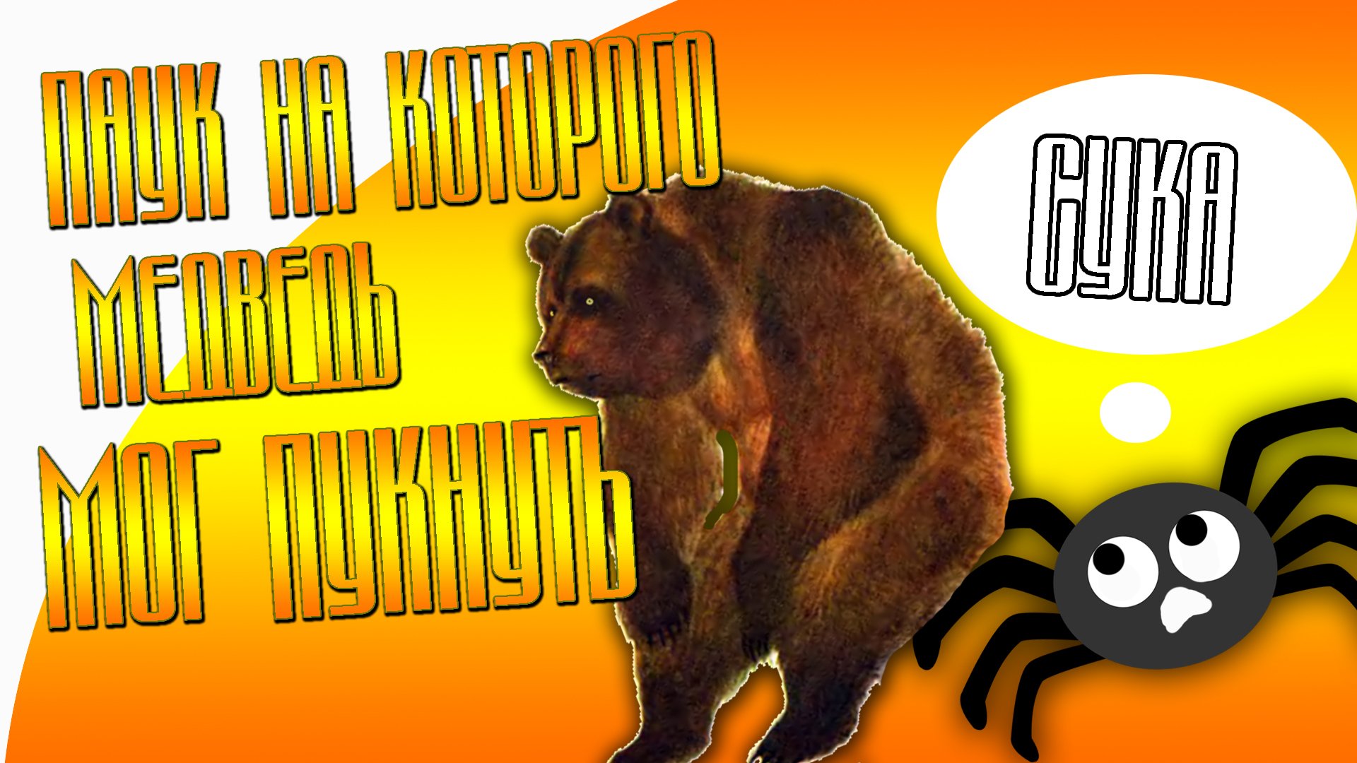 Bear Simulator Паук на которого Медведь мог Пукнуть - Изображение 1 Bear Simulator Паук на которого Медведь мог Пукнуть - Изображение 1