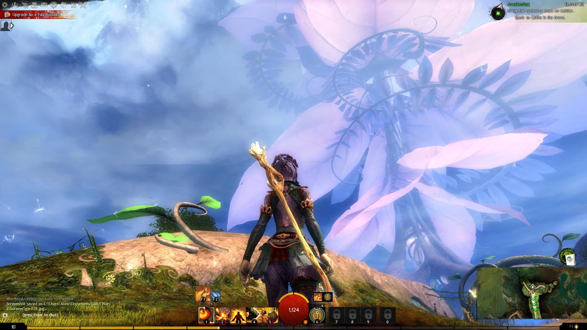 Путешествие по Guild Wars 2 ... Знакомство - Изображение 18 Путешествие по Guild Wars 2 ... Знакомство - Изображение 18