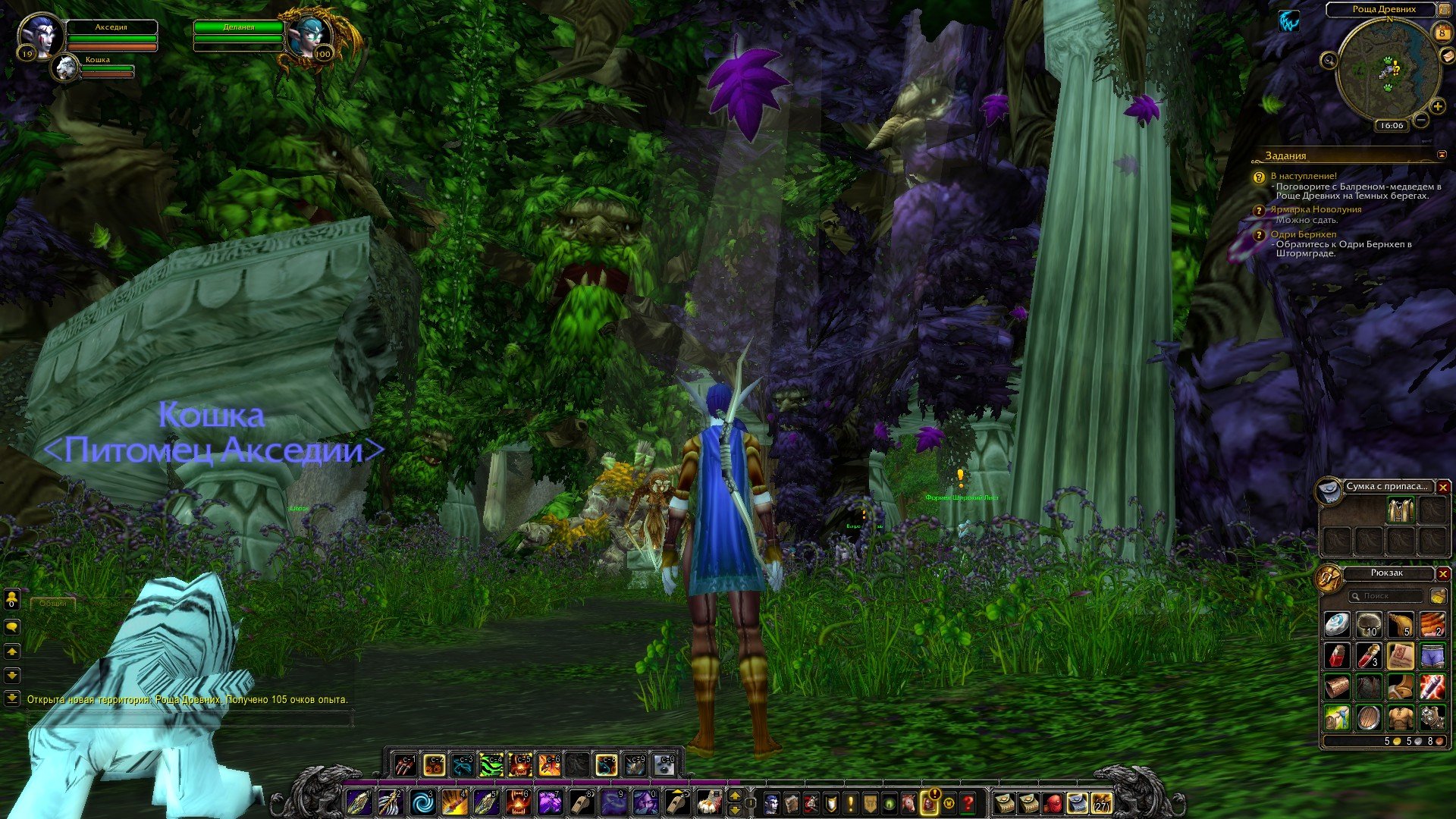 Путешествие по World of Warcraft ... Ночной Эльф. Глава 2. - Изображение 20 Путешествие по World of Warcraft ... Ночной Эльф. Глава 2. - Изображение 20