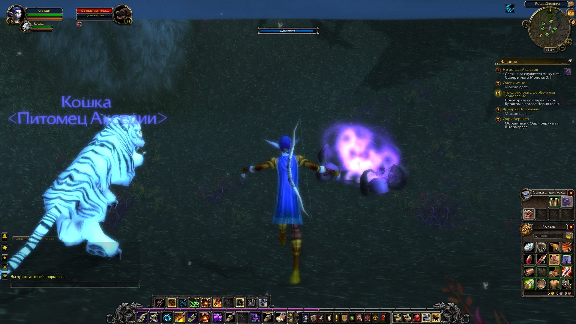 Путешествие по World of Warcraft ... Ночной Эльф. Глава 2. - Изображение 21 Путешествие по World of Warcraft ... Ночной Эльф. Глава 2. - Изображение 21
