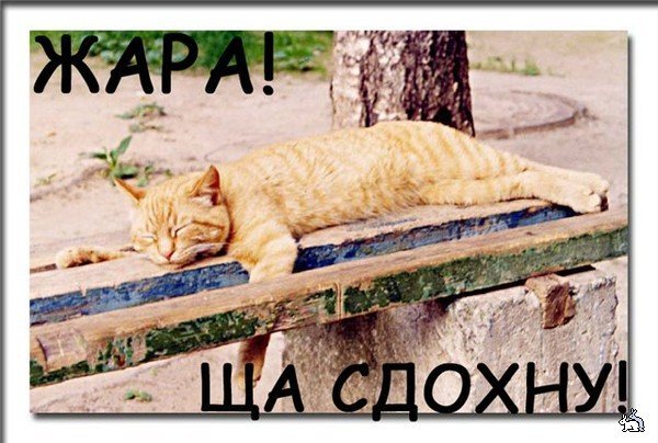 Жарище пепелище, суровый закаленный белым хладом Сибирец... СТРАДАЕТ!!! - Изображение 1 Жарище пепелище, суровый закаленный белым хладом Сибирец... СТРАДАЕТ!!! - Изображение 1