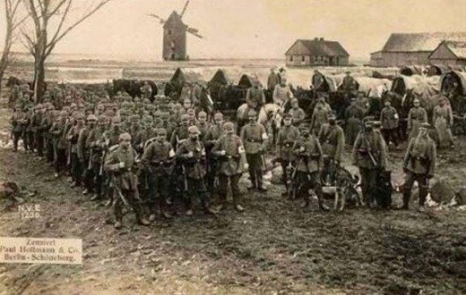 Норфолкский полк. Память в beta Battlefield 1 - Изображение 4 Норфолкский полк. Память в beta Battlefield 1 - Изображение 4