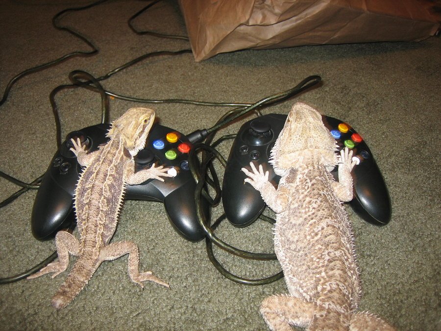 Xbox1 без DRM:• No more always online requirement• The console no longer has to check in every 24 hours• All game di ... - Изображение 1 Xbox1 без DRM:• No more always online requirement• The console no longer has to check in every 24 hours• All game di ... - Изображение 1