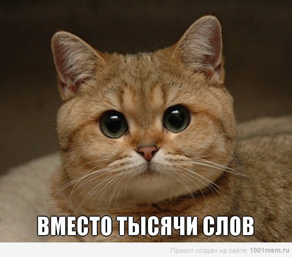 Уберите ограничение по символам комментов к воплям, задрали. Не понимаю какой смысл их вводить, но если так требуют ... - Изображение 1 Уберите ограничение по символам комментов к воплям, задрали. Не понимаю какой смысл их вводить, но если так требуют ... - Изображение 1