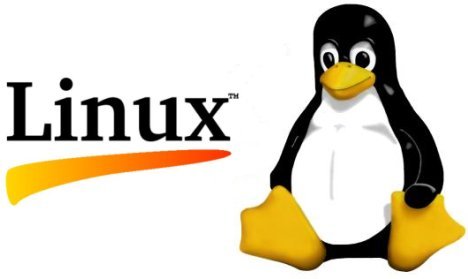 А есть кто нибудь на канобу, кто использует Linux? Если есть такие, поделитесь отзывом по этой OC. Расскажите плюсы ... - Изображение 1 А есть кто нибудь на канобу, кто использует Linux? Если есть такие, поделитесь отзывом по этой OC. Расскажите плюсы ... - Изображение 1