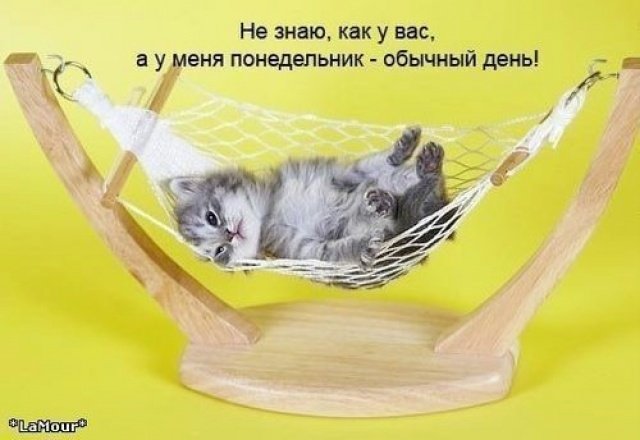 Не расстраиваемся! Тешим себя тем, что эта рабнеделя короче. В четверг все закончится... Ну и не забывайте, что в эт ... - Изображение 1 Не расстраиваемся! Тешим себя тем, что эта рабнеделя короче. В четверг все закончится... Ну и не забывайте, что в эт ... - Изображение 1