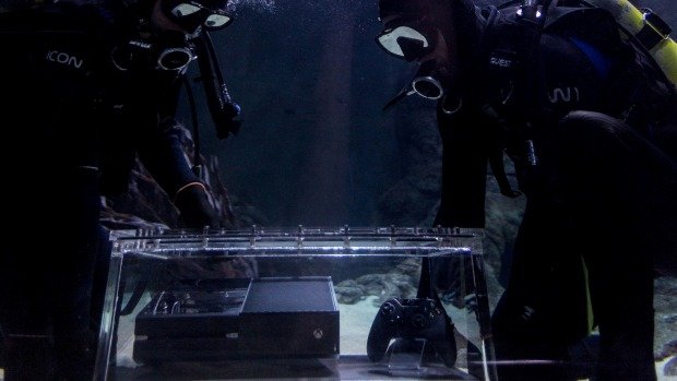 Как сообщает издание Stuff, двадцать акул океанариума Kelly Tarlton's Sea Life Aquarium в Окленде, Новая Зеландия, ... - Изображение 1
Как сообщает издание Stuff, двадцать акул океанариума Kelly Tarlton's Sea Life Aquarium в Окленде, Новая Зеландия, ... - Изображение 1