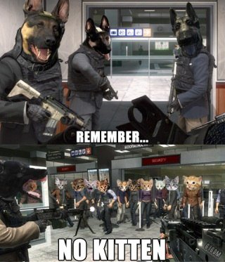 Я просто оставлю это здесь #callofduty #собачка - Изображение 1 Я просто оставлю это здесь #callofduty #собачка - Изображение 1