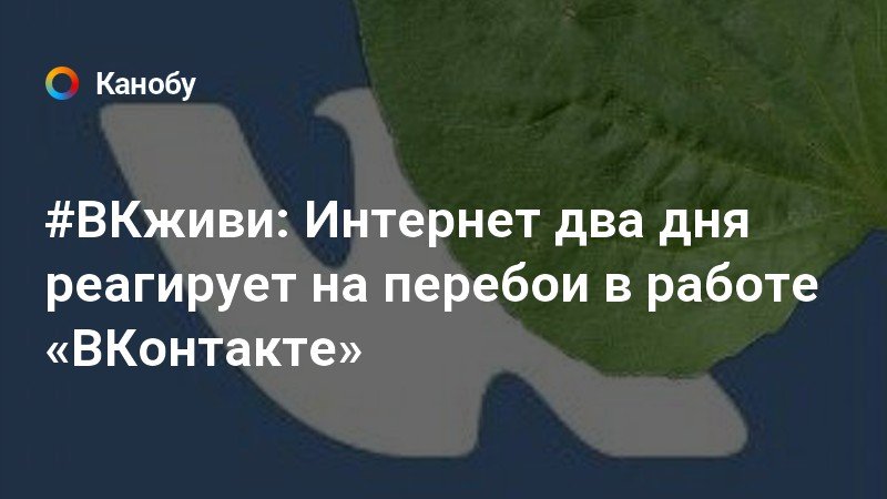 #ВКживи: Интернет два дня реагирует на перебои в работе «ВКонтакте»