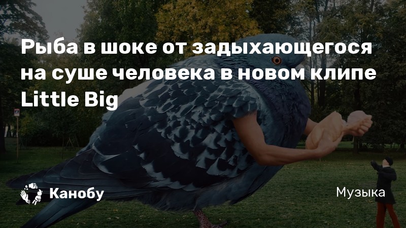 Рыба в шоке от задыхающегося на суше человека в новом клипе Little Big