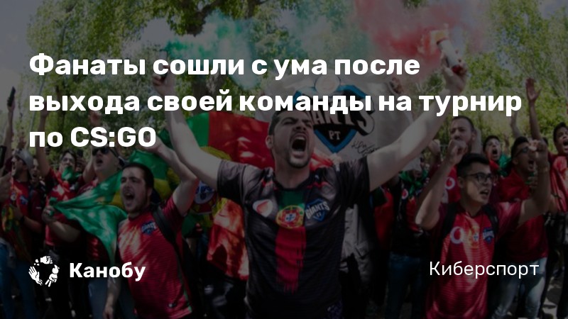 Фанаты сошли с ума после выхода своей команды на турнир по CS:GO