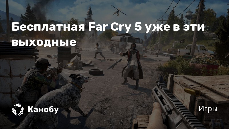 Far cry 5 вылетает при запуске после флага