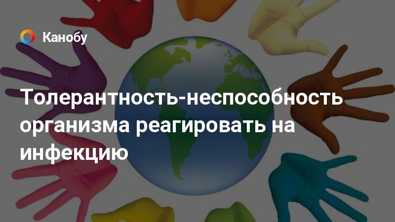 Человек и общество формирование толерантности проект