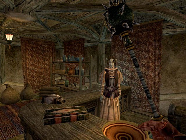 The Elder Scrolls 3 Morrowind    -  9