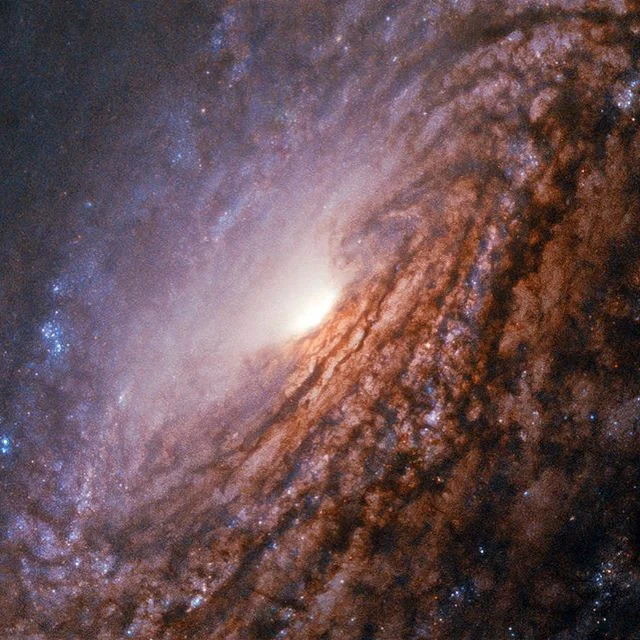 Спиральная галактика NGC 5033 в 40 млн световых лет от Земли